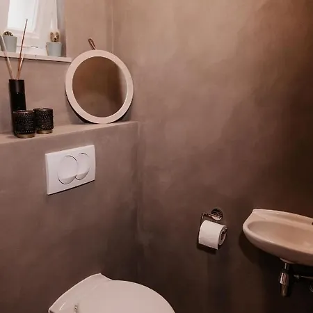 6 Personen In De Achterhoek Met Sauna * Lievelde